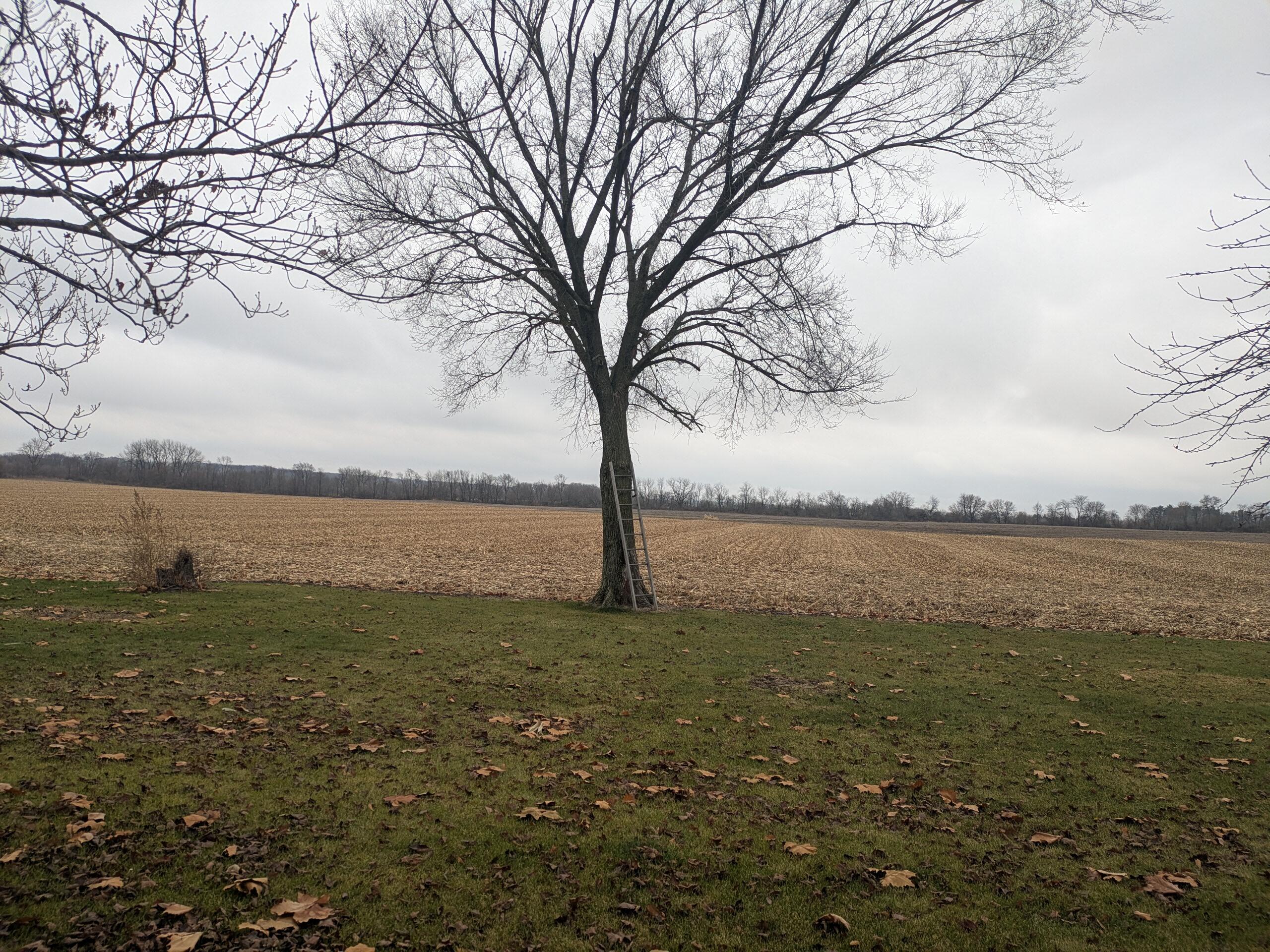 15605 West 185th Avenue Lowell, IN 46356 - Photo 47 of 54 2560x1920