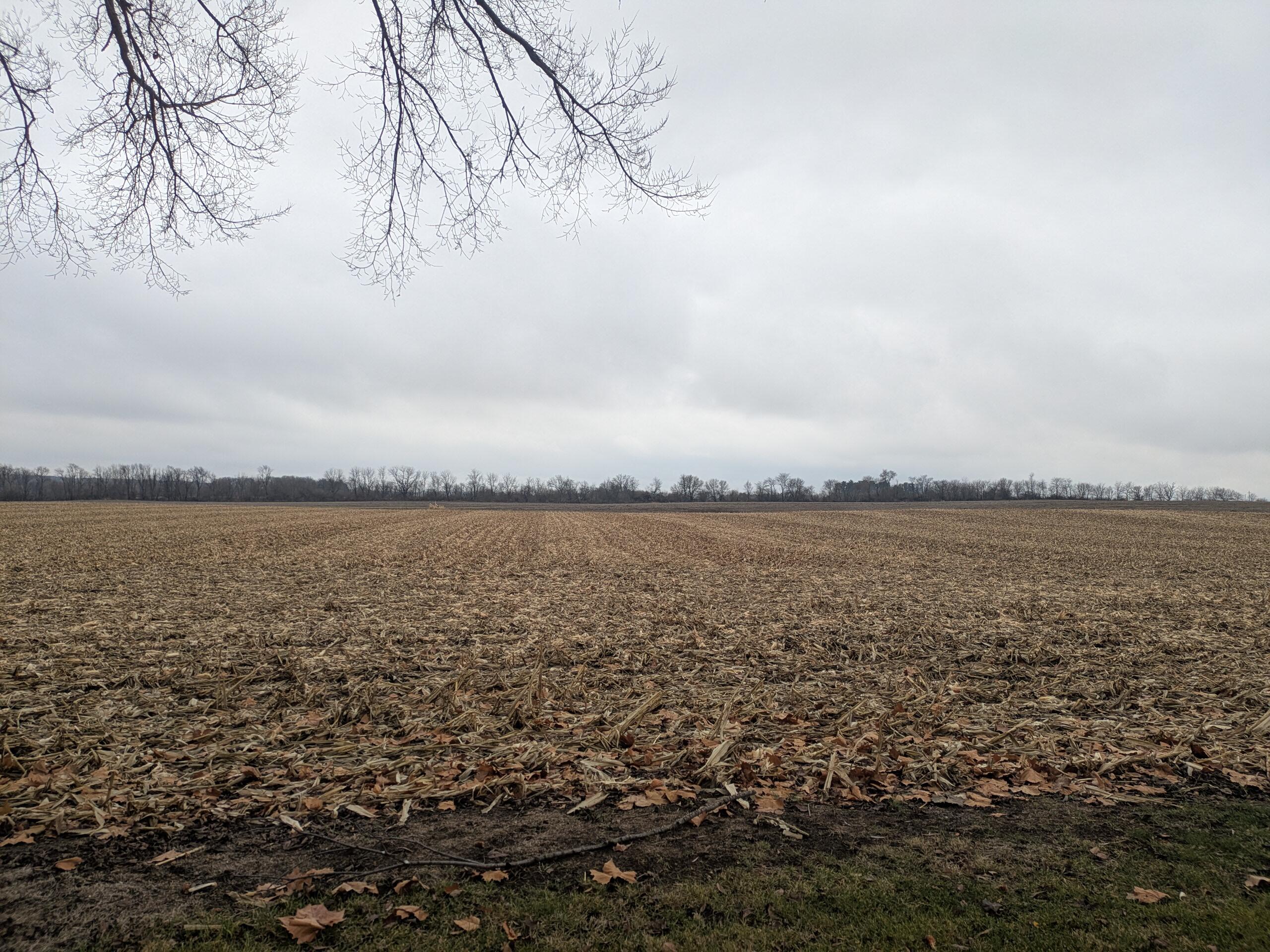 15605 West 185th Avenue Lowell, IN 46356 - Photo 53 of 54 2560x1920