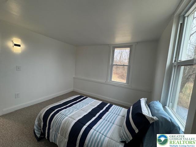 5444 Vera Cruz Road Emmaus, PA 18049 - Photo 11 of 16 Back Right BR