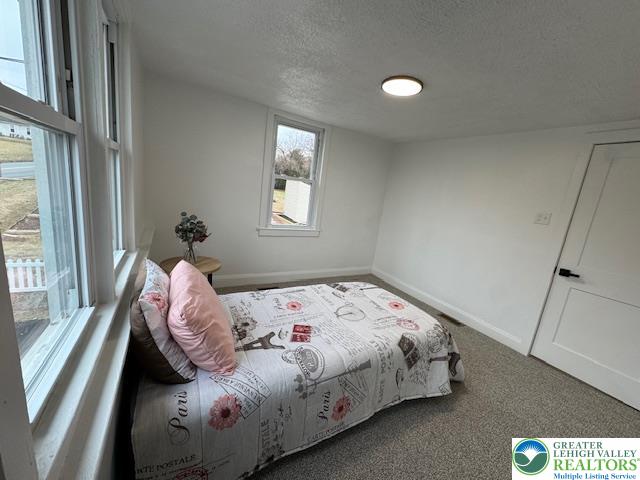 5444 Vera Cruz Road Emmaus, PA 18049 - Photo 9 of 16 Front Left BR