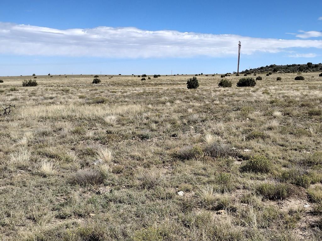 Lot 6 Long Ridge Trail Rye, CO 81069 - Photo 17 of 32