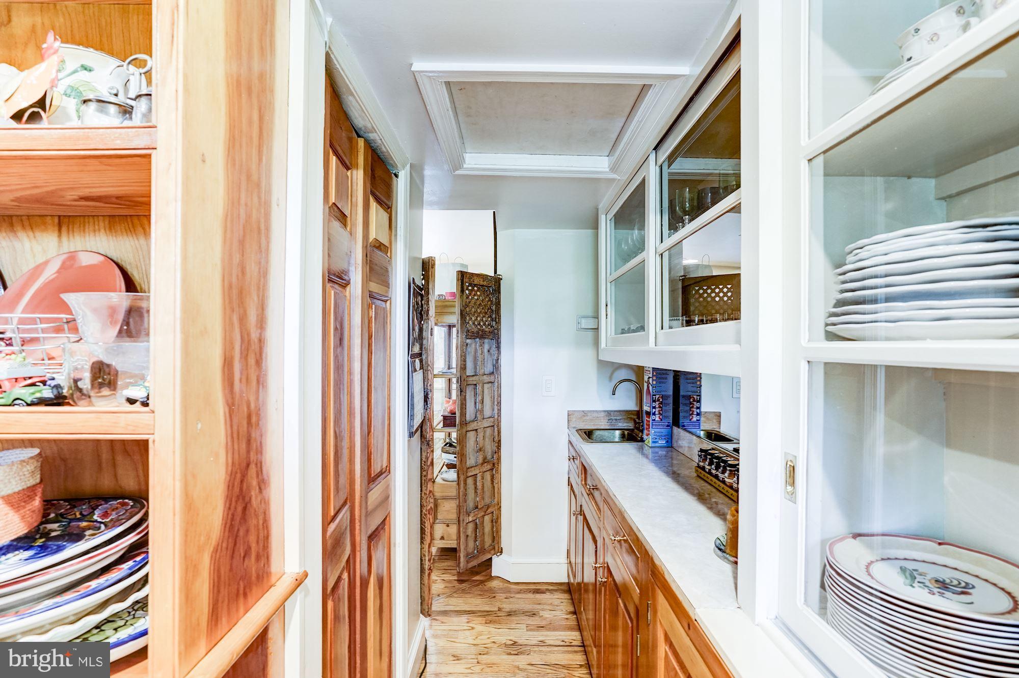 1327 Rokeby Road Upperville, VA 20184 - Photo 19 of 76 Butler's pantry has loads of storage