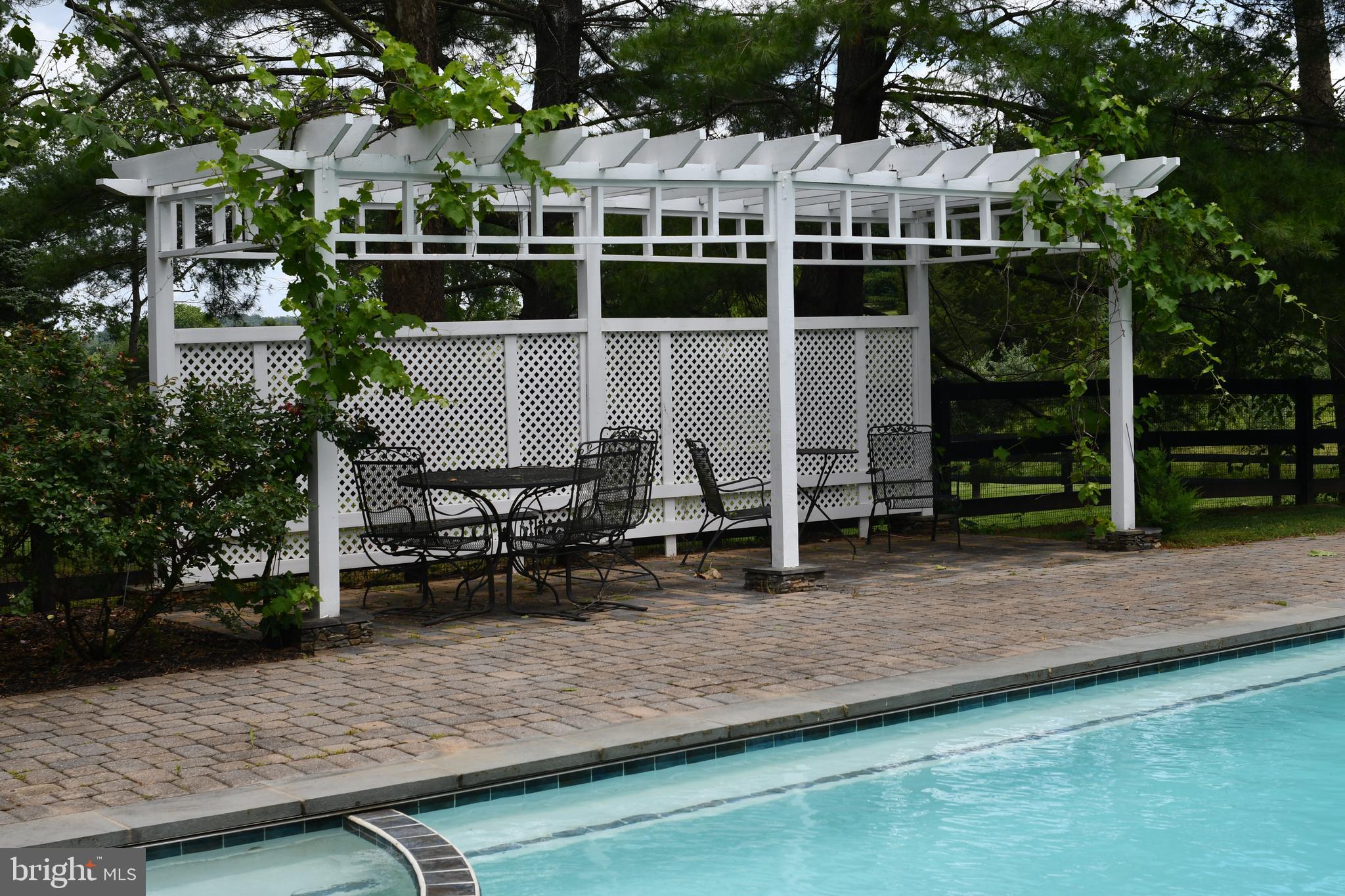 1327 Rokeby Road Upperville, VA 20184 - Photo 51 of 76 Pergula at the pool-the white grapes are sweet