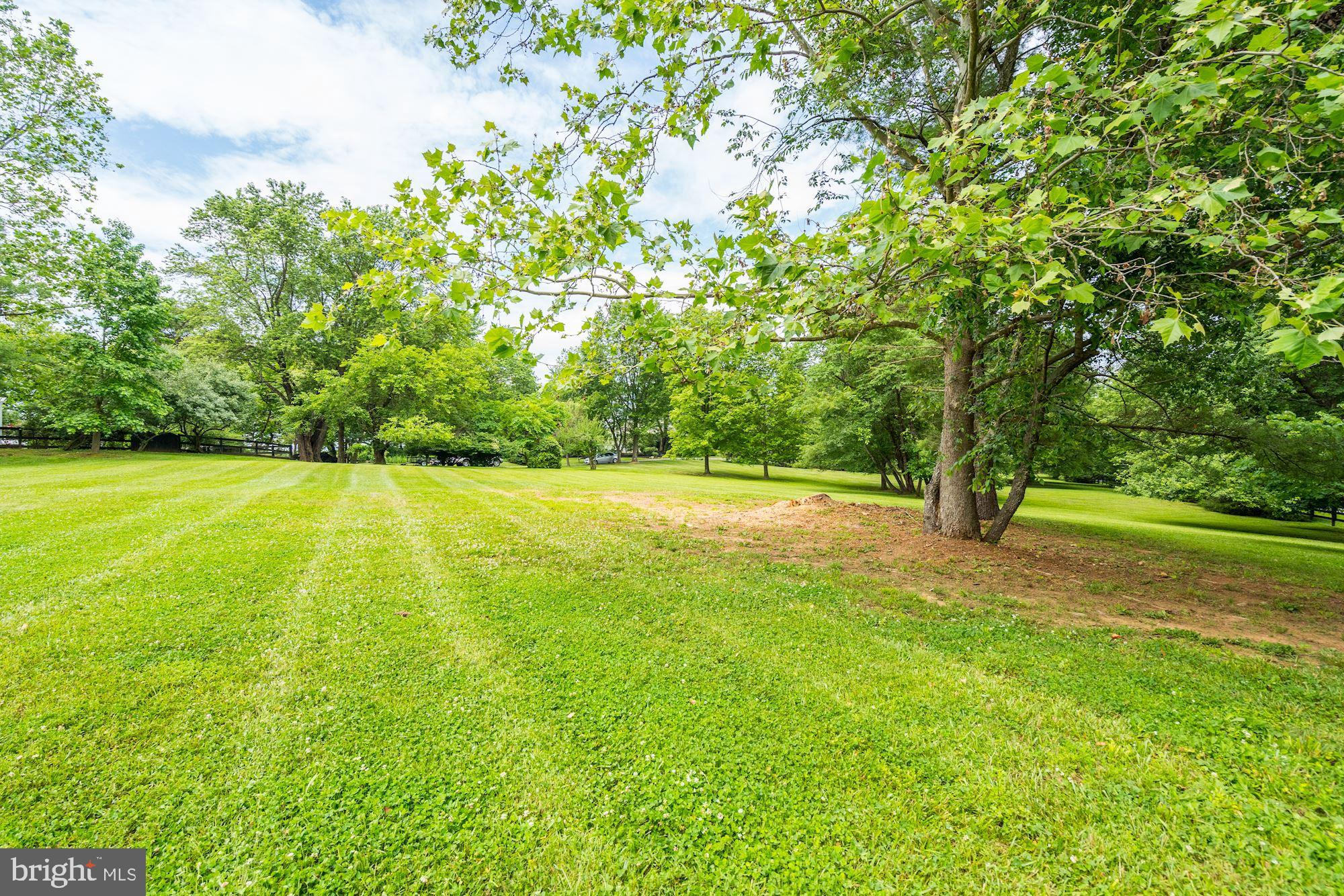 1327 Rokeby Road Upperville, VA 20184 - Photo 60 of 76 Lots of varieties of trees dot the fields