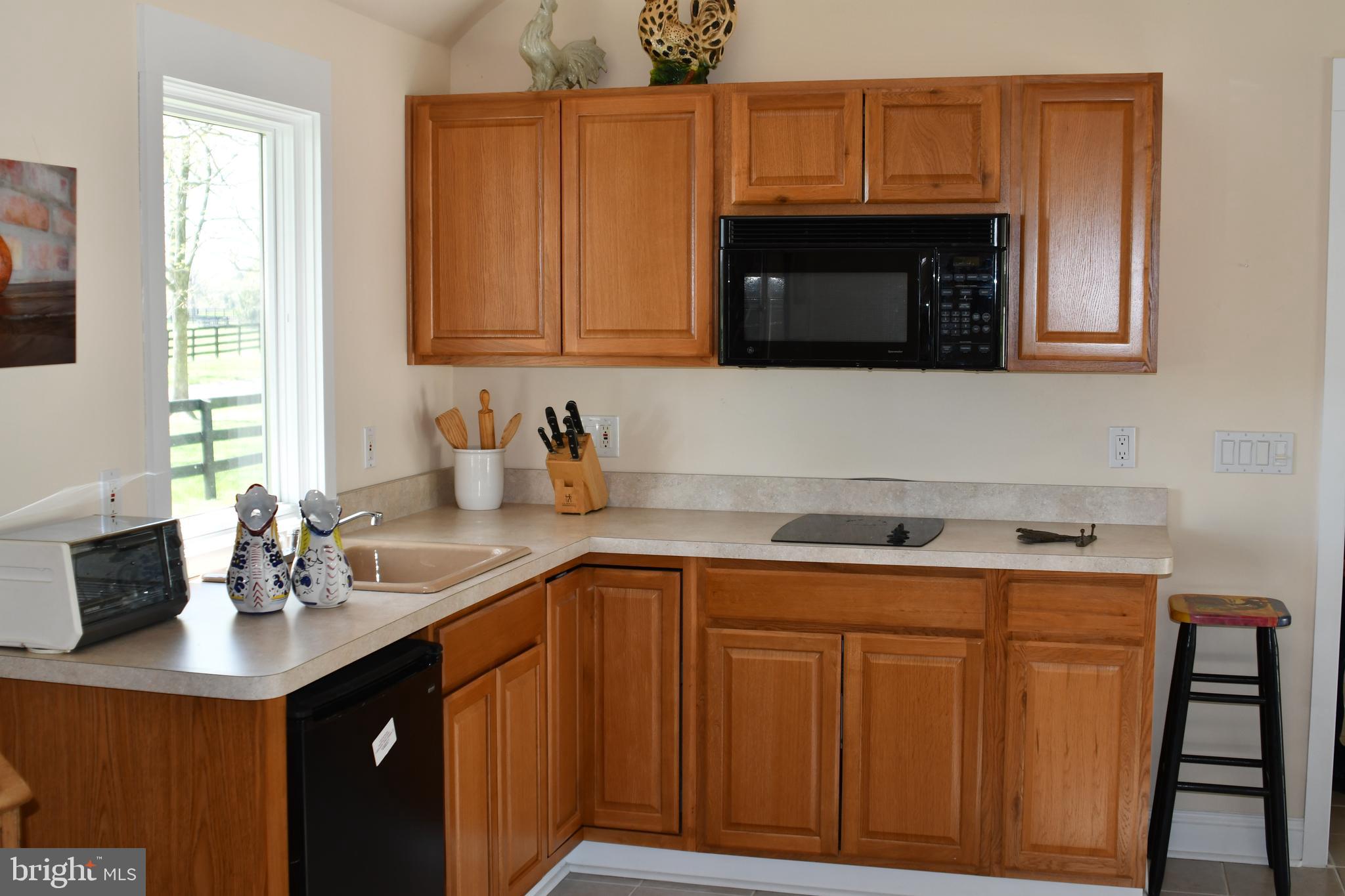 1327 Rokeby Road Upperville, VA 20184 - Photo 75 of 76 Kitchen area, there is also a gas grill outside