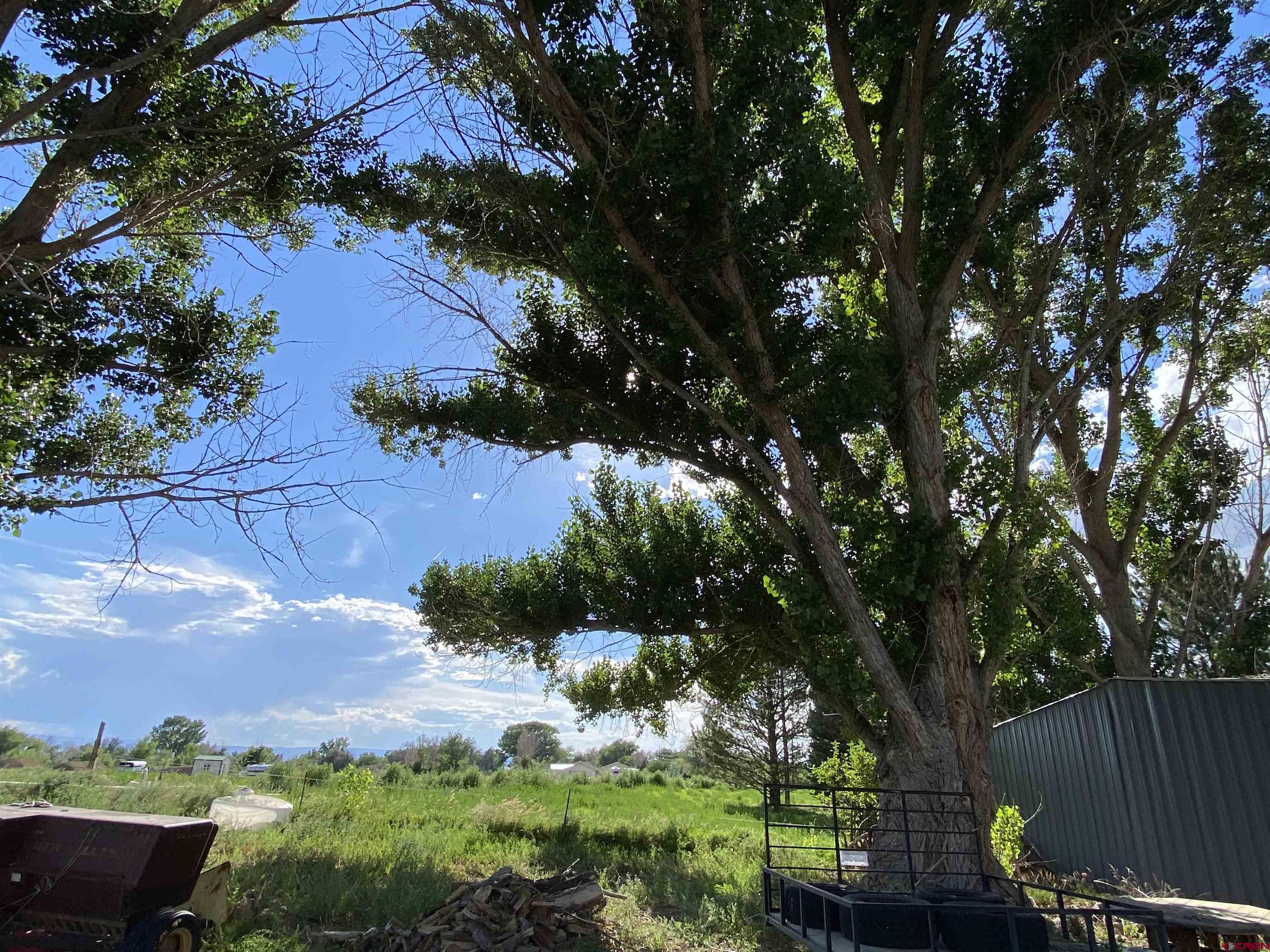 1733 B F Road Delta, CO 81416 - Photo 23 of 24 a view of backyard with plants and tree