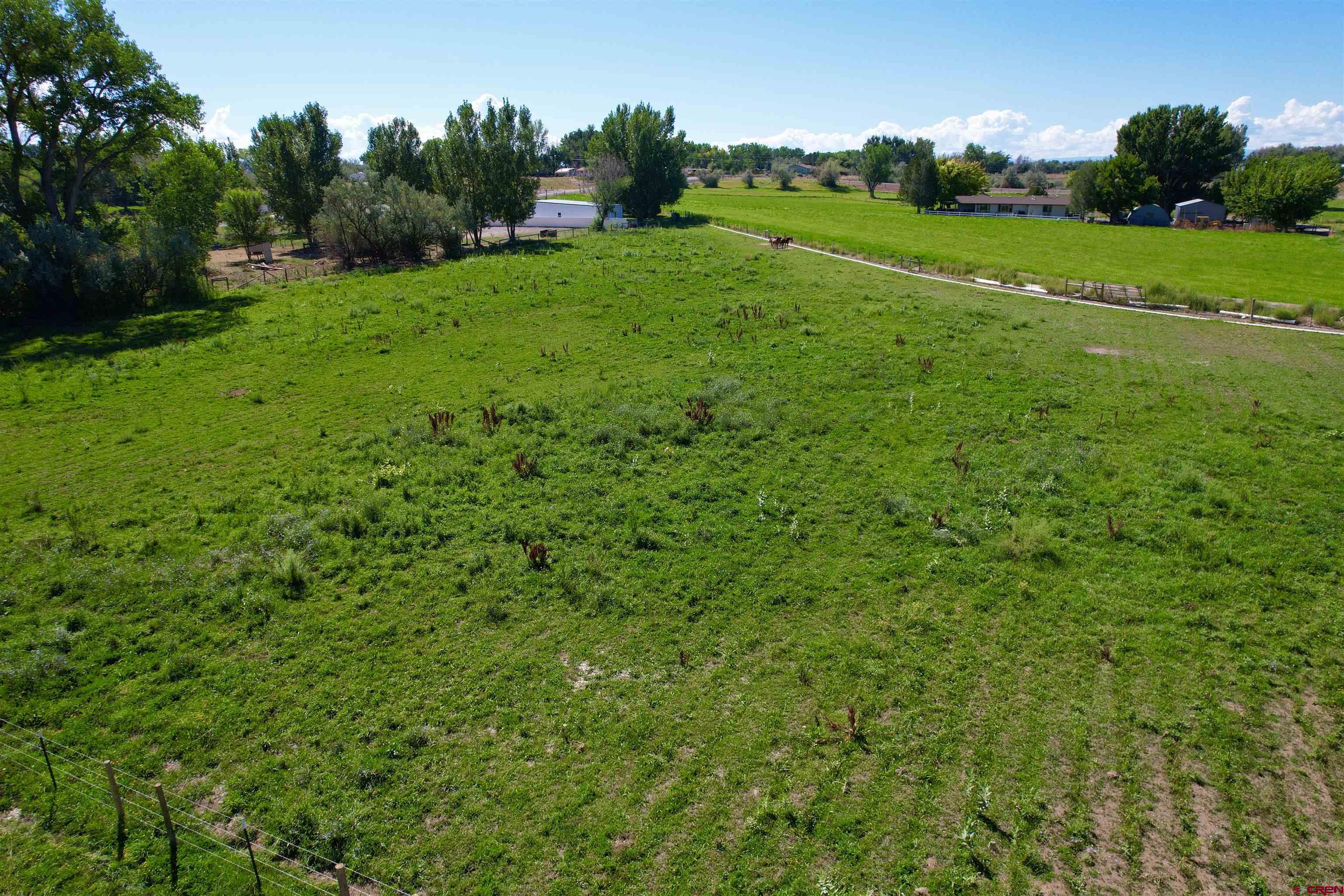 1733 B F Road Delta, CO 81416 - Photo 24 of 24 a view of a grassy field with trees