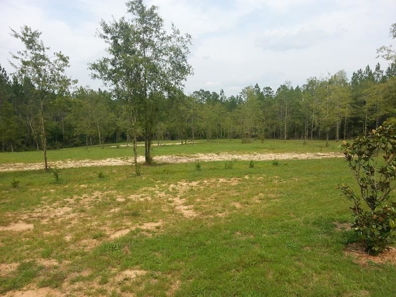 Lot 39 Wallace Lake Road Pace, FL 32571 - Photo 1 of 7