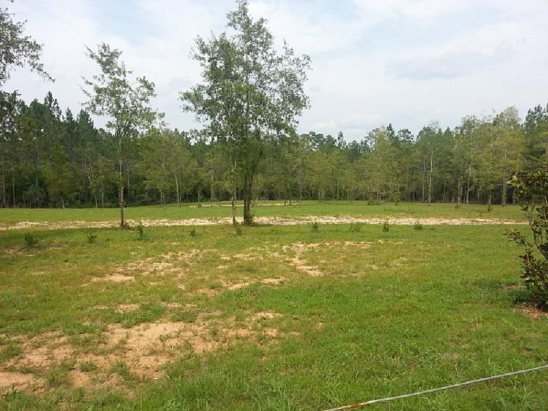 Lot 39 Wallace Lake Road Pace, FL 32571 - Photo 2 of 7