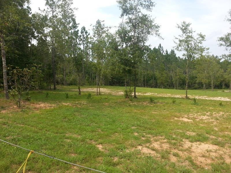 Lot 39 Wallace Lake Road Pace, FL 32571 - Photo 3 of 7
