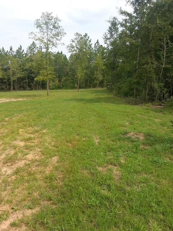 Lot 39 Wallace Lake Road Pace, FL 32571 - Photo 5 of 7