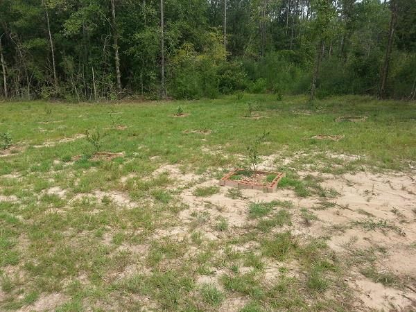 Lot 39 Wallace Lake Road Pace, FL 32571 - Photo 7 of 7