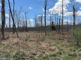 Cherry Ridge Rd Mount Mount Storm, WV 26739 - Photo 6 of 8