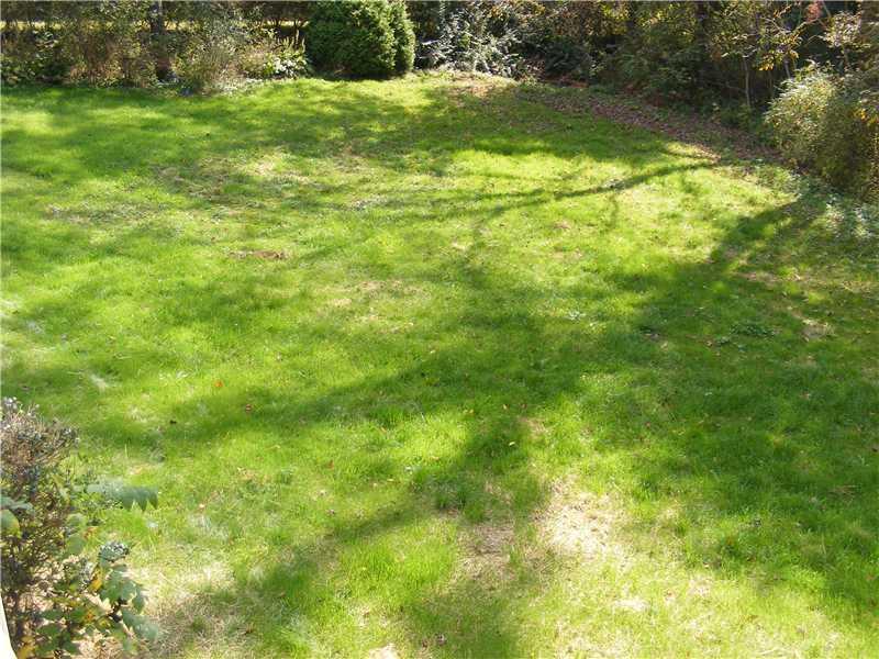 653 Winfield Road Cabot, PA 16023 - Photo 11 of 11 Land/Lot. Back Yard