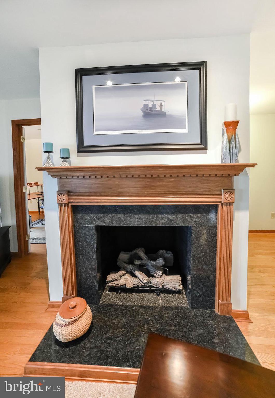 18293 River Road Tall Timbers, MD 20690 - Photo 39 of 62 Gas fireplace for the chilly nights