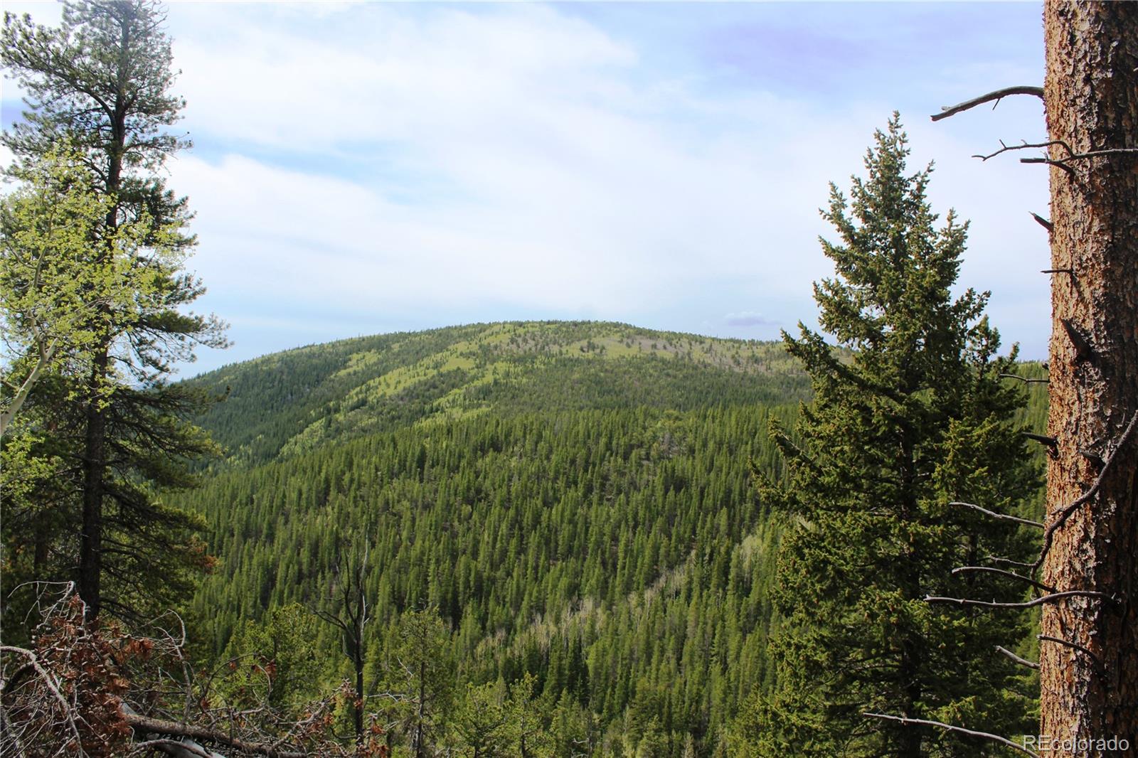 1 Broomfeild Gulch Road Idaho Springs, CO 80452 - Photo 26 of 31 Gallery Image 26