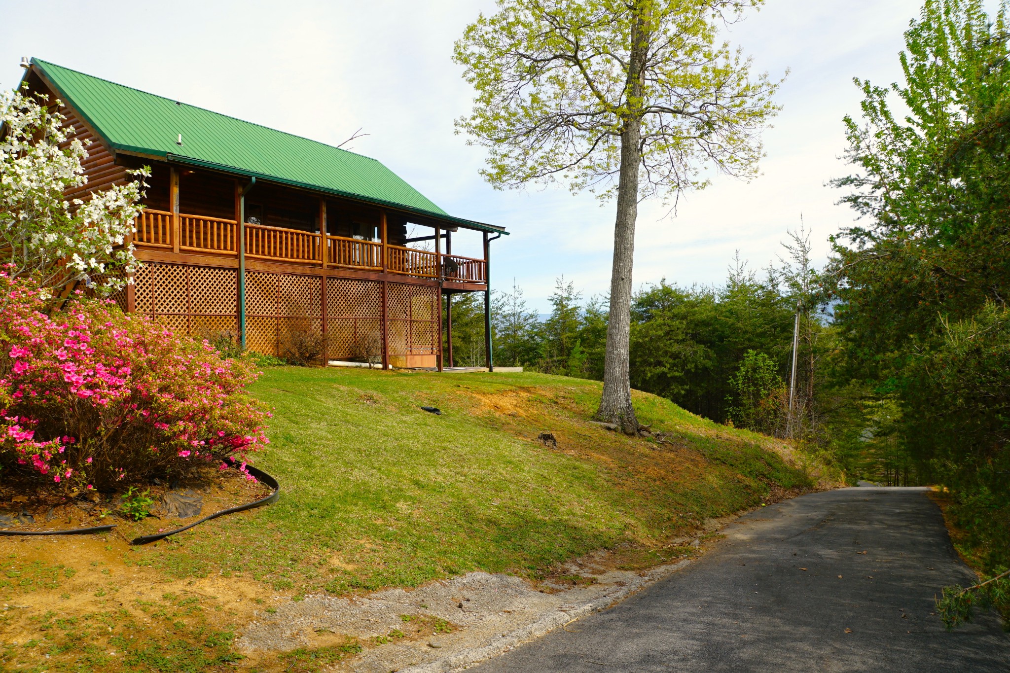 1724 Bluff Ridge Road Sevierville, TN 37876 - Photo 15 of 29 a view of a backyard