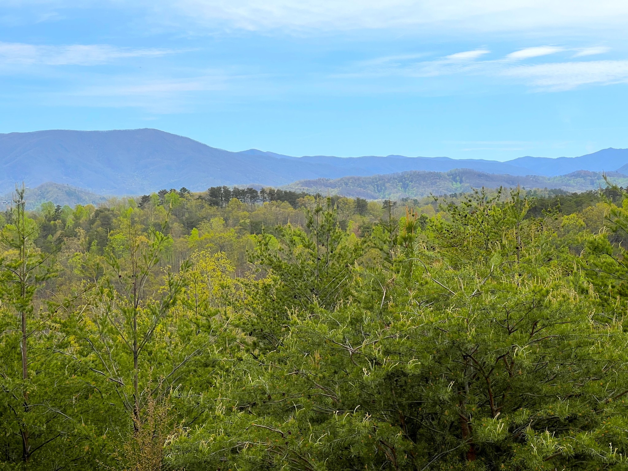 1724 Bluff Ridge Road Sevierville, TN 37876 - Photo 4 of 29 a view of a city with mountain