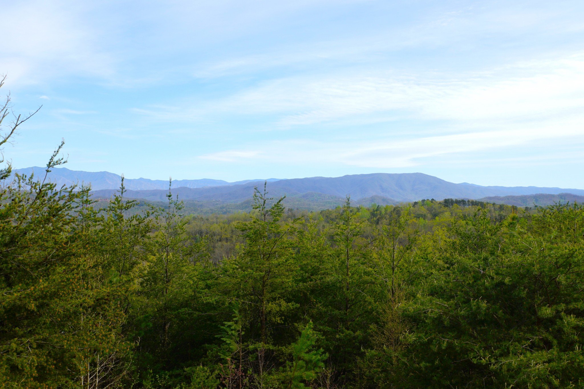 1724 Bluff Ridge Road Sevierville, TN 37876 - Photo 5 of 29 a view of a city with lush green forest