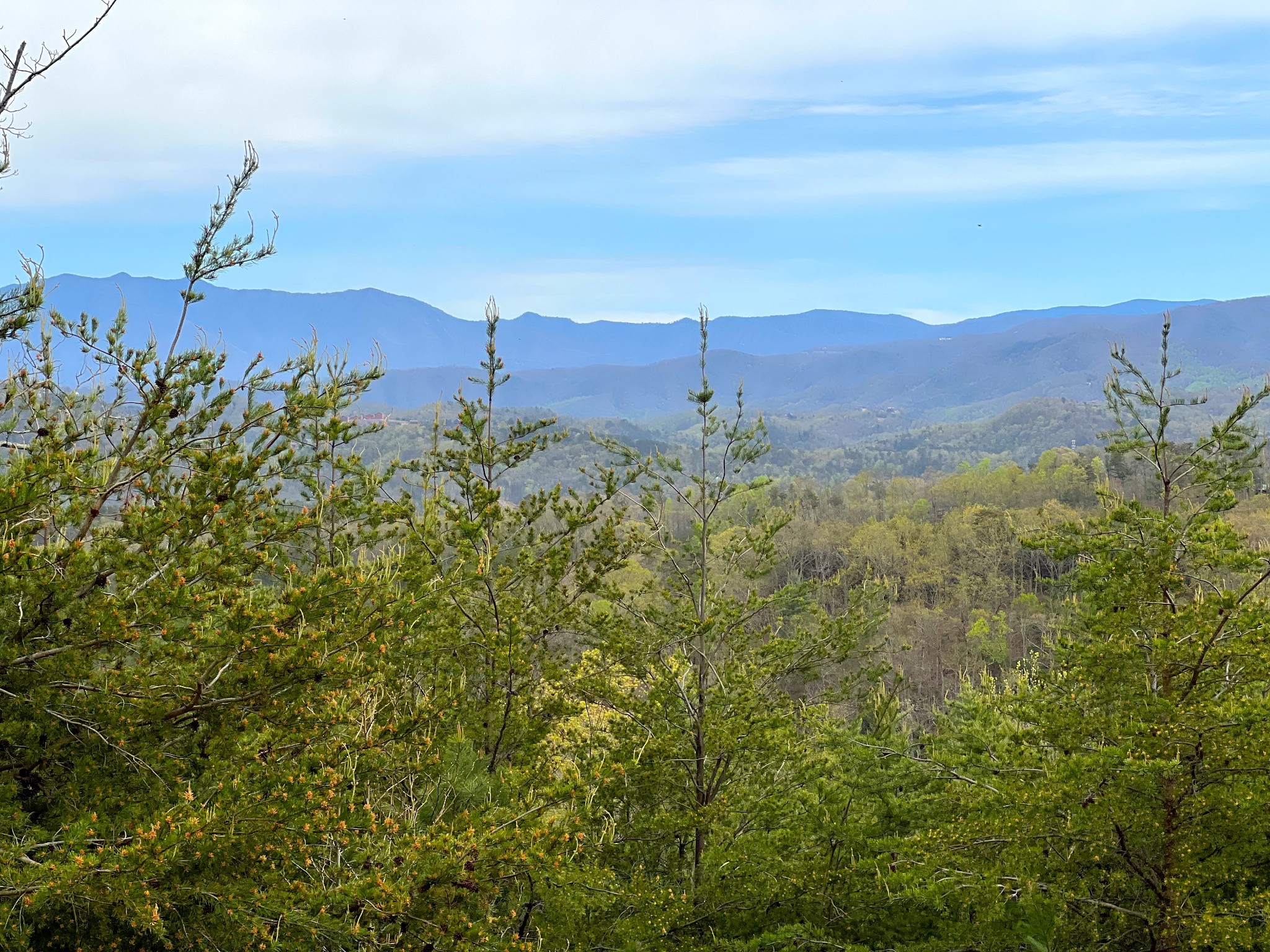 1724 Bluff Ridge Road Sevierville, TN 37876 - Photo 6 of 29 a view of a city