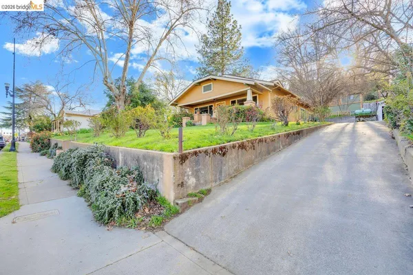 a view of a street with a large trees