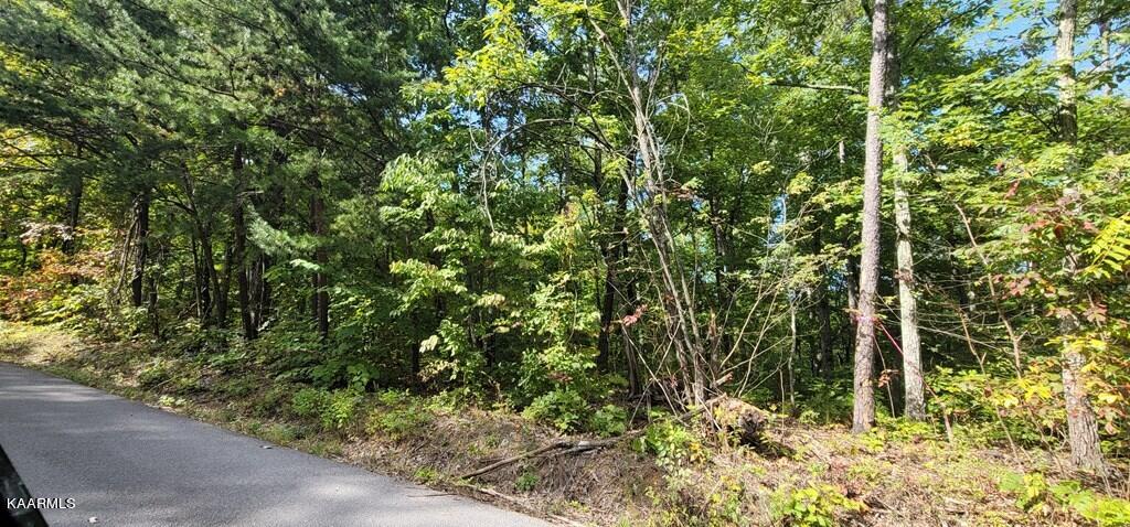 Lot 102 Shell Mtn Road Sevierville, TN 37876 - Photo 4 of 7 245572_5