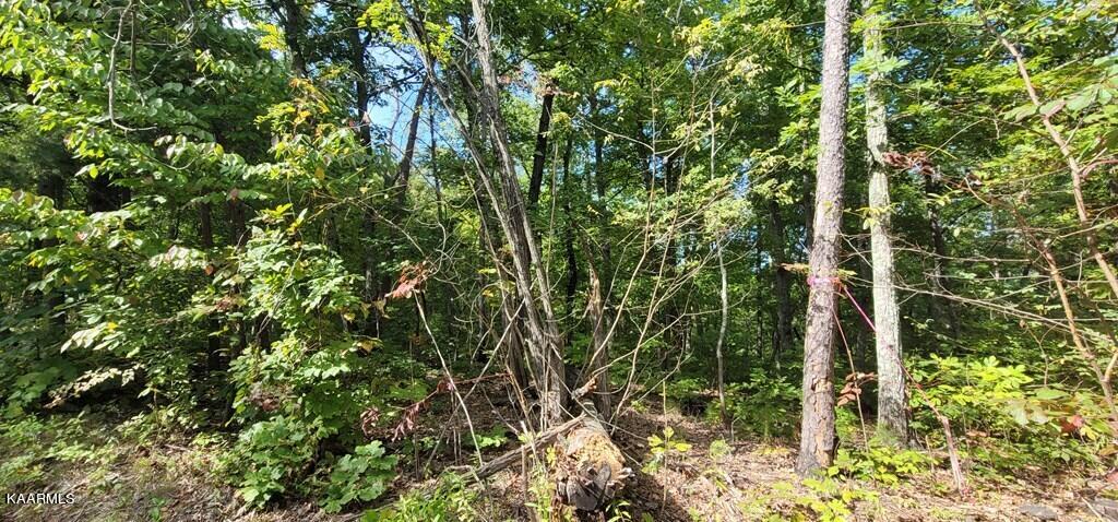 Lot 102 Shell Mtn Road Sevierville, TN 37876 - Photo 5 of 7 245572_4