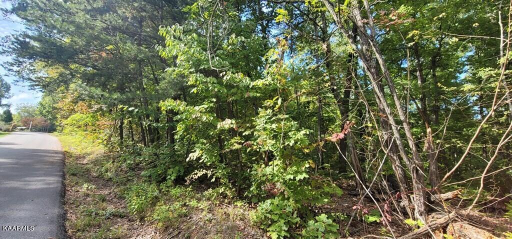 Lot 102 Shell Mtn Road Sevierville, TN 37876 - Photo 6 of 7 245572_3