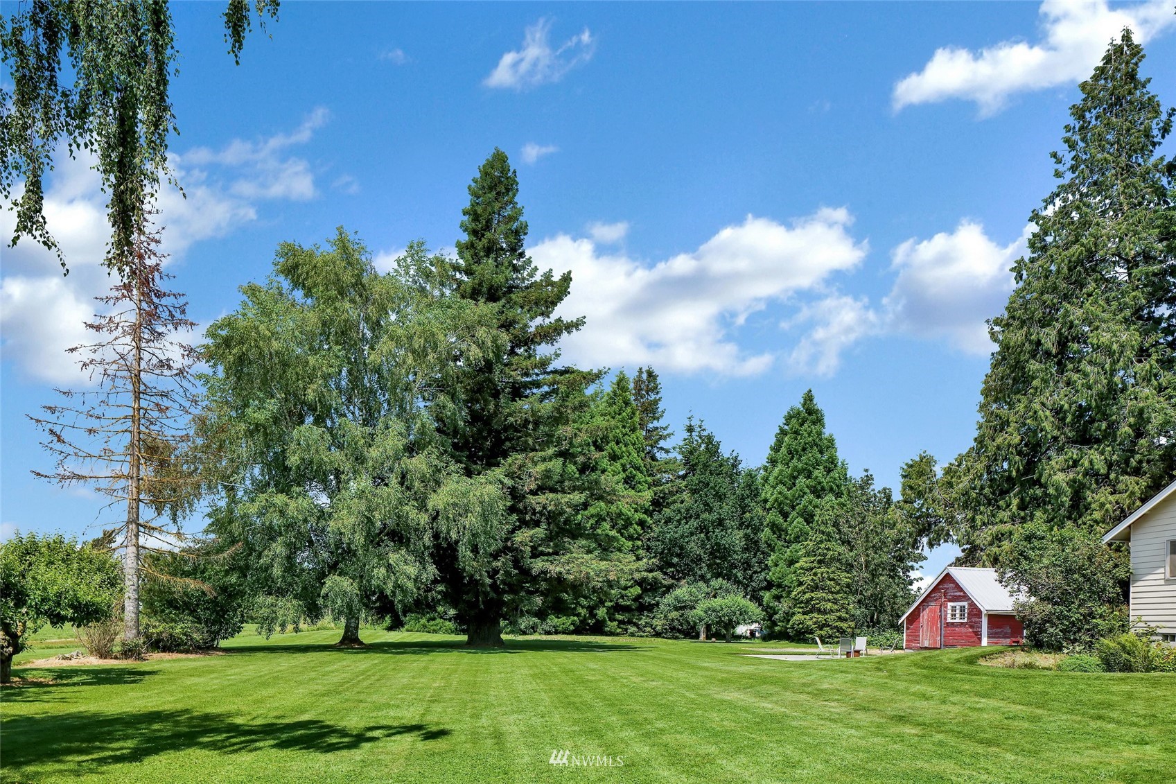 3938 Bowen Road Sumas, WA 98295 - Photo 31 of 34 a view of a garden and an trees