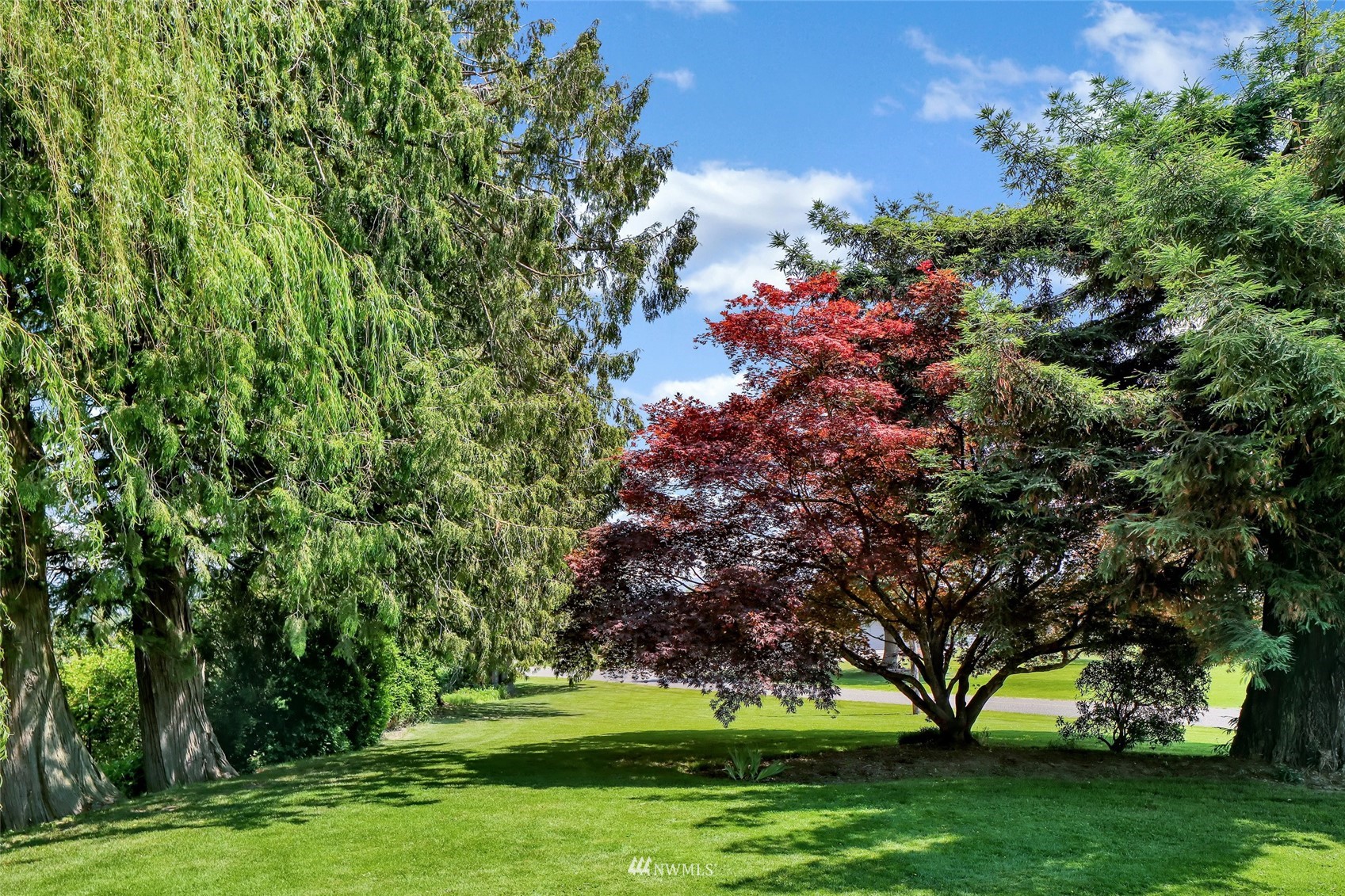 3938 Bowen Road Sumas, WA 98295 - Photo 33 of 34 a green field with lots of trees