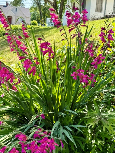 1702 Richard Street Columbus, GA 31906 - Photo 40 of 41