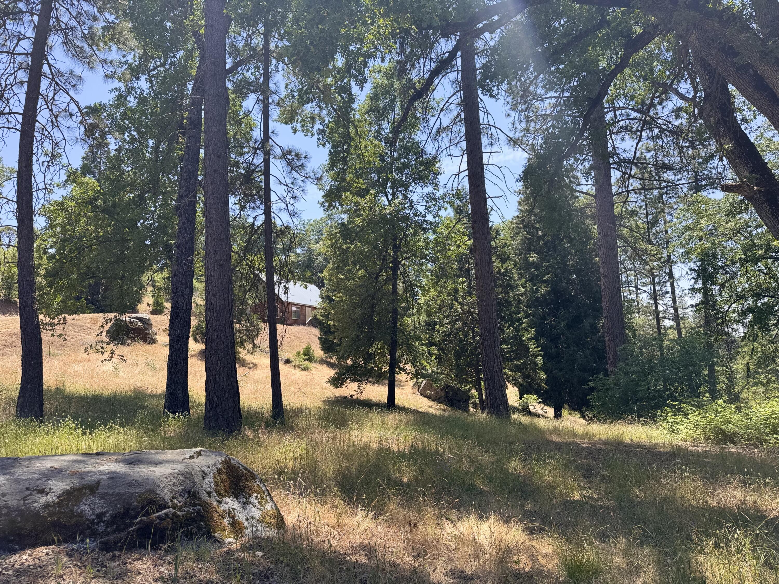 51911 Hogback Miramonte, CA 93641 - Photo 43 of 49 a view of outdoor space with trees