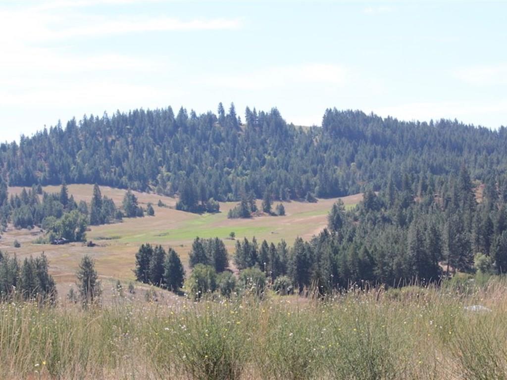 5516 West Woolard Road Spokane, WA 99208 - Photo 6 of 9