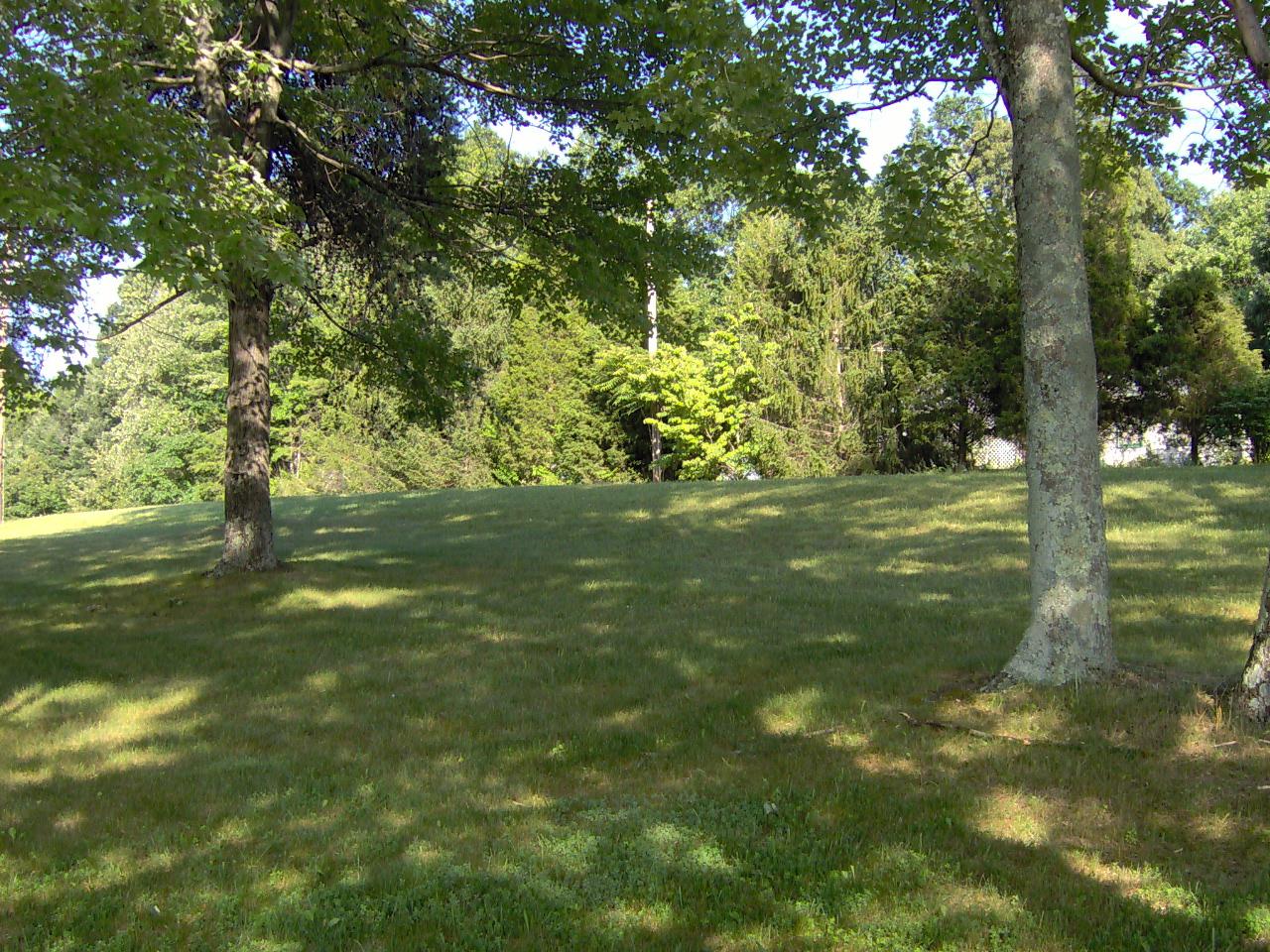 2209 Parrish Road Goodview, VA 24095 - Photo 9 of 9 a view of a yard with a tree