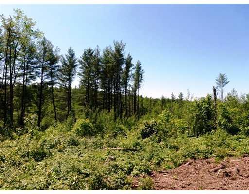 Lot 35 Glass Hill Road Guilford, ME 04443 - Photo 5 of 8 Land.