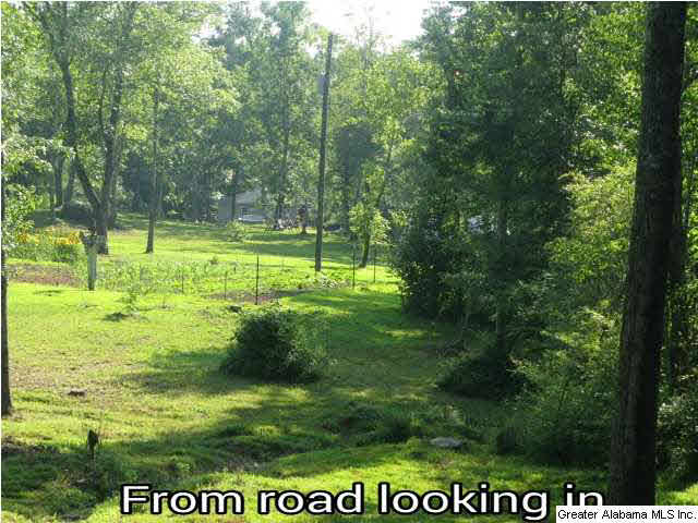 403 Dewberry Lane Springville, AL 35146 - Photo 3 of 4