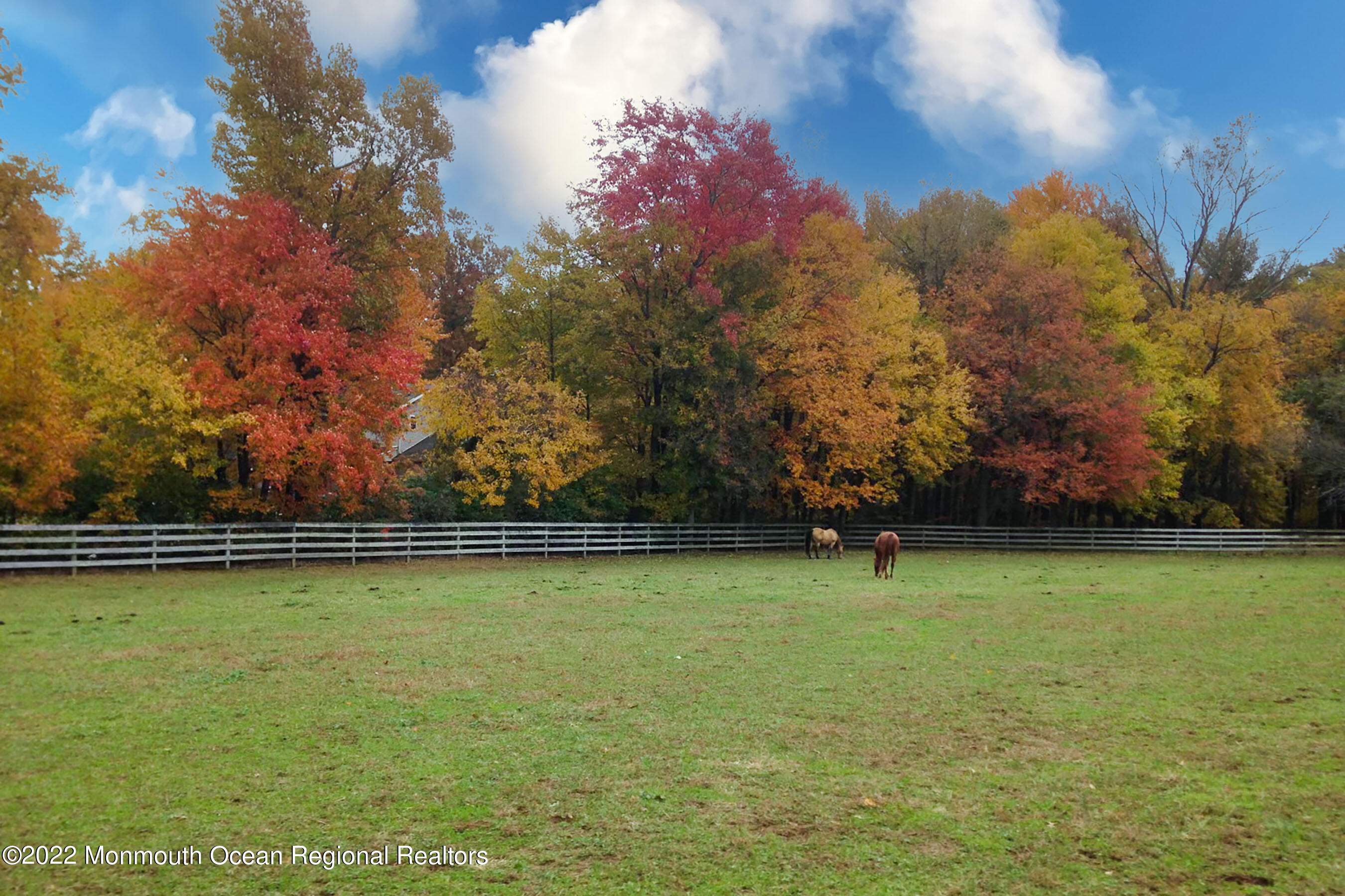 94 Old York Road Chesterfield, NJ 08515 - Photo 47 of 51 Paddock