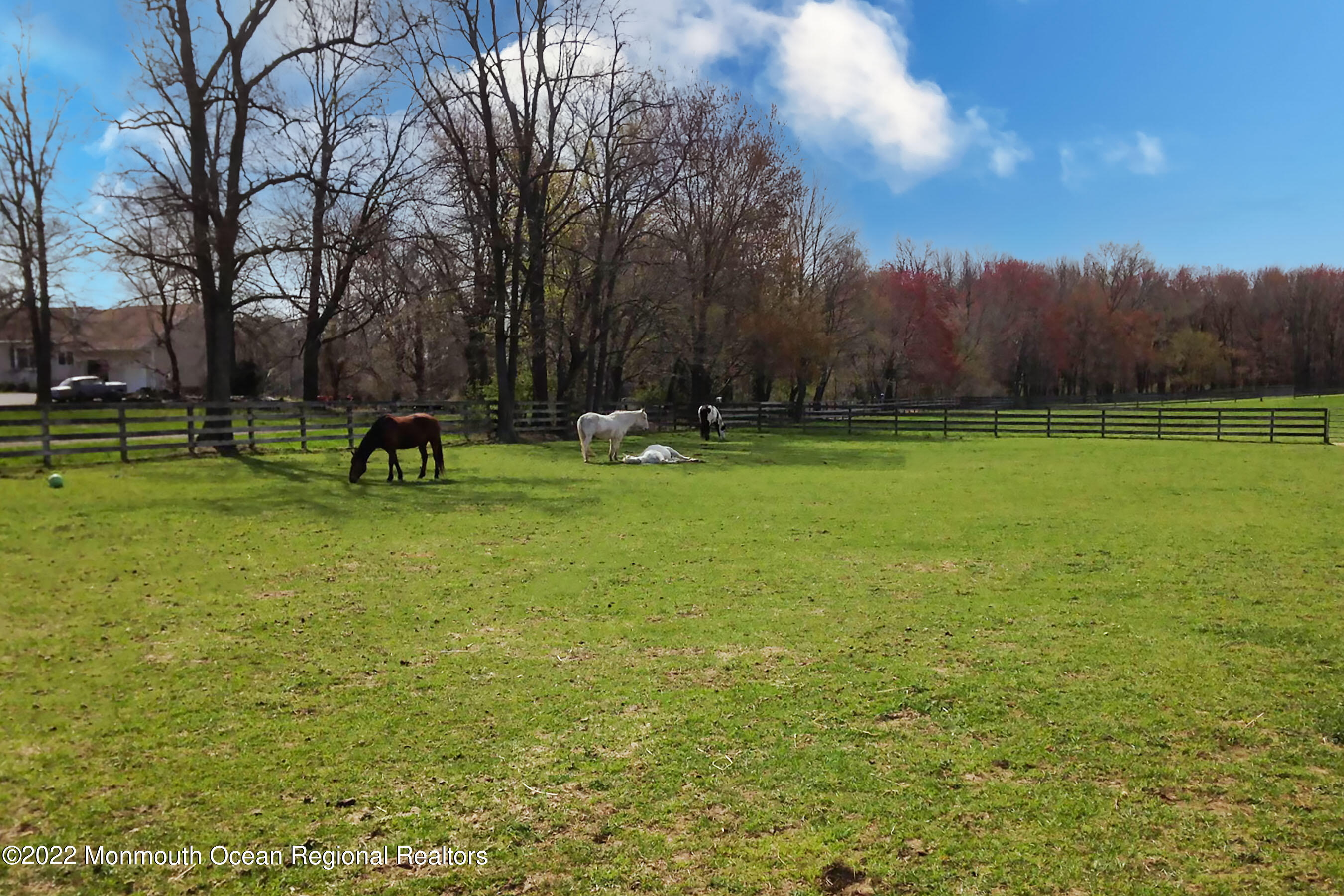 94 Old York Road Chesterfield, NJ 08515 - Photo 48 of 51 Paddock