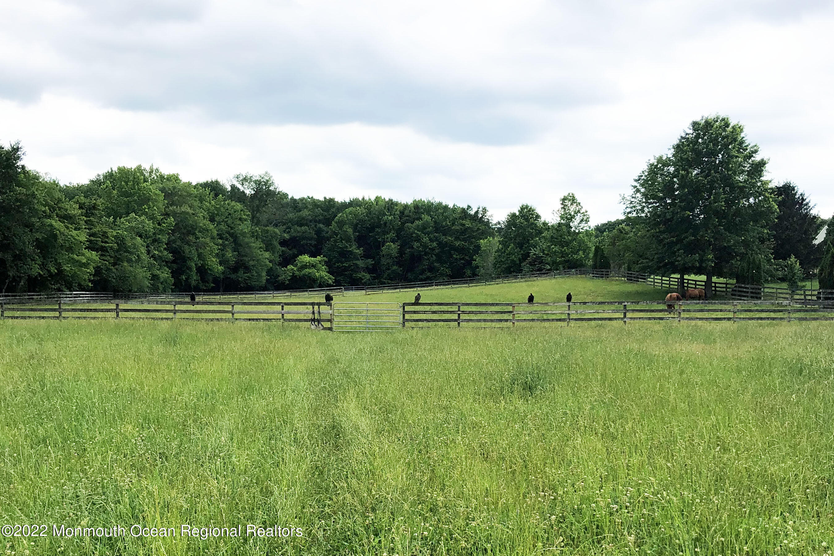 94 Old York Road Chesterfield, NJ 08515 - Photo 49 of 51 Paddock
