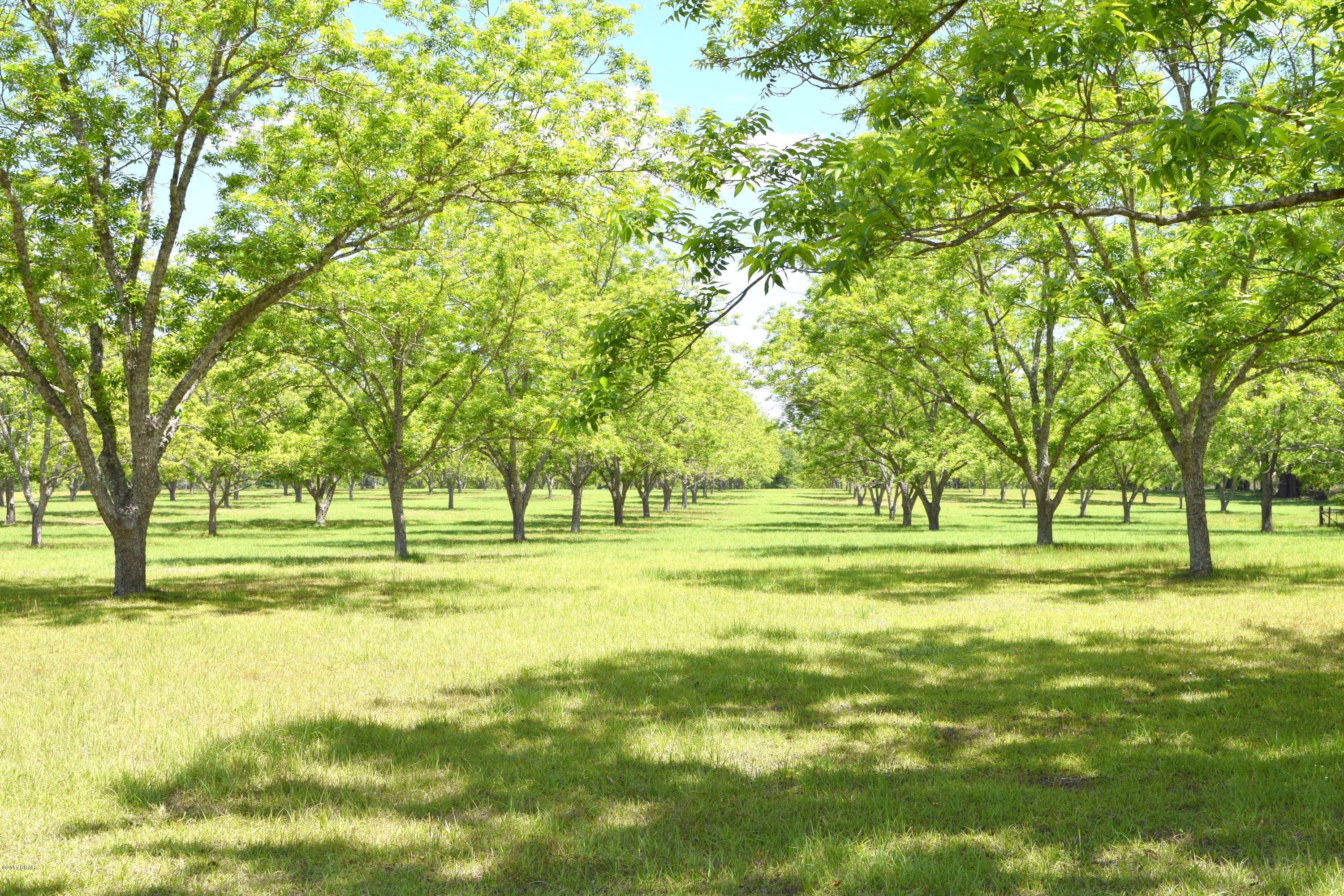 1165 Sam Ard Road Bonifay, FL 32425 - Photo 2 of 29 Gallery Image 2