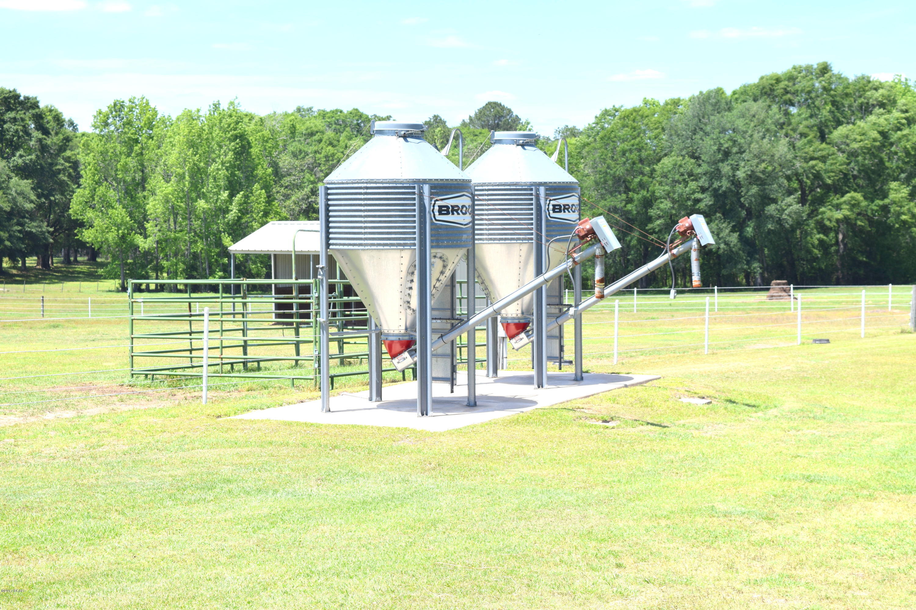 1165 Sam Ard Road Bonifay, FL 32425 - Photo 22 of 29 Gallery Image 22