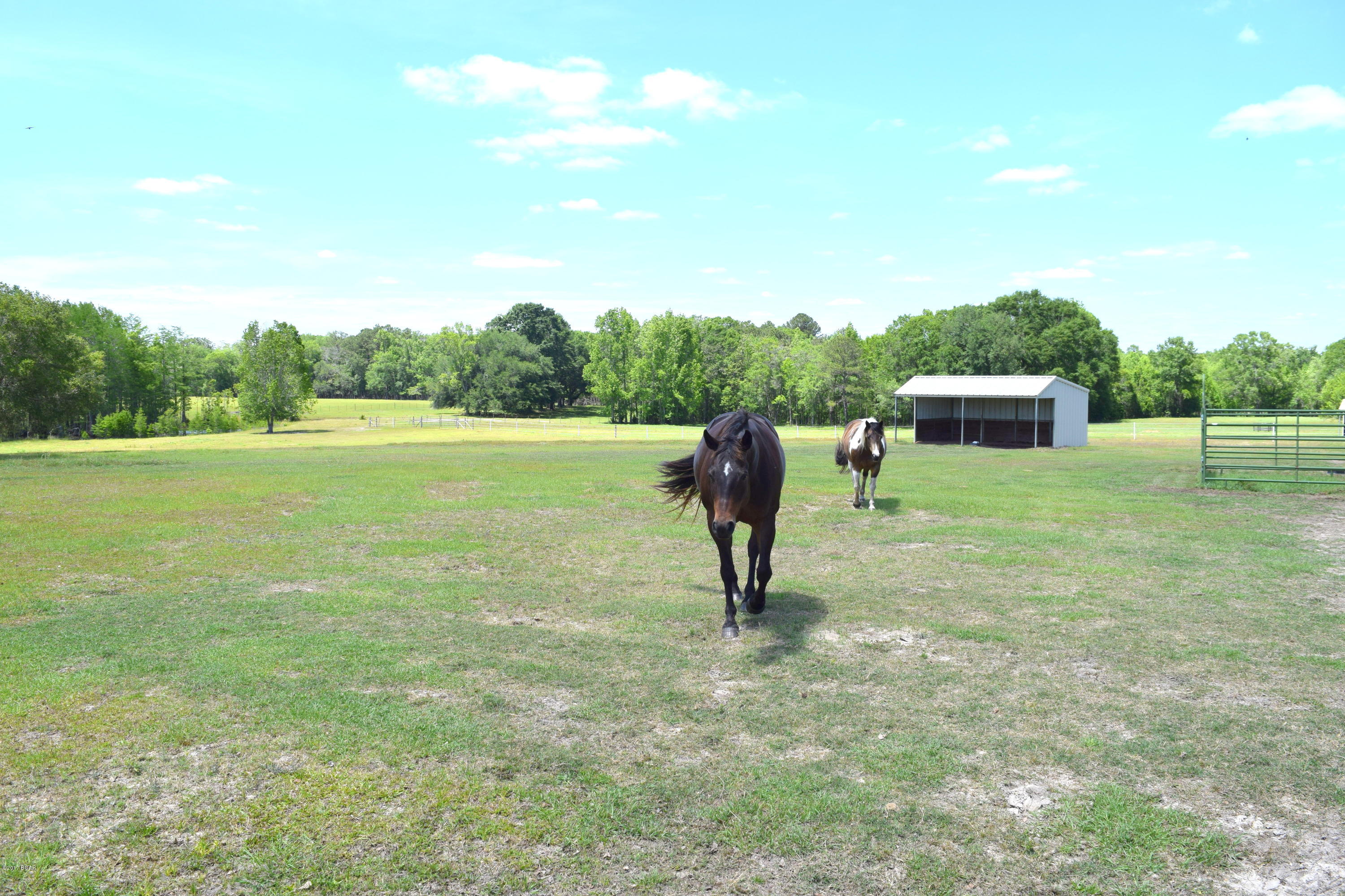 1165 Sam Ard Road Bonifay, FL 32425 - Photo 26 of 29 Gallery Image 26