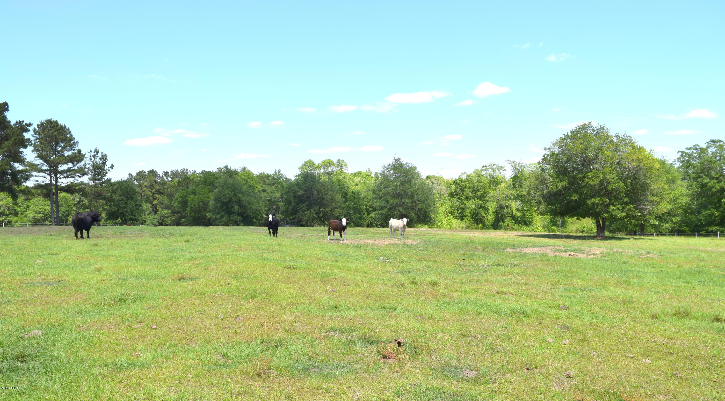 1165 Sam Ard Road Bonifay, FL 32425 - Photo 27 of 29 Gallery Image 27
