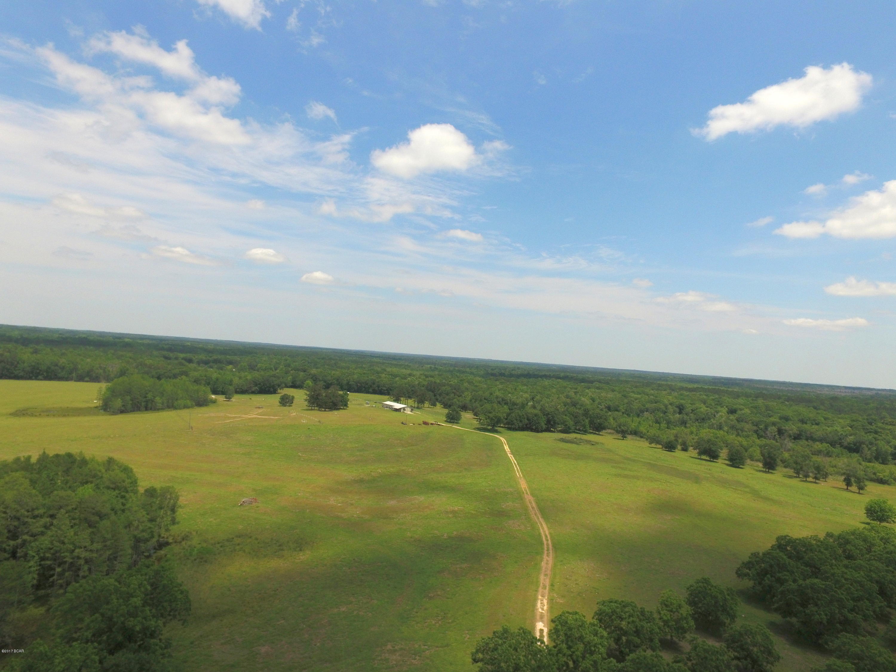 1165 Sam Ard Road Bonifay, FL 32425 - Photo 28 of 29 Gallery Image 28