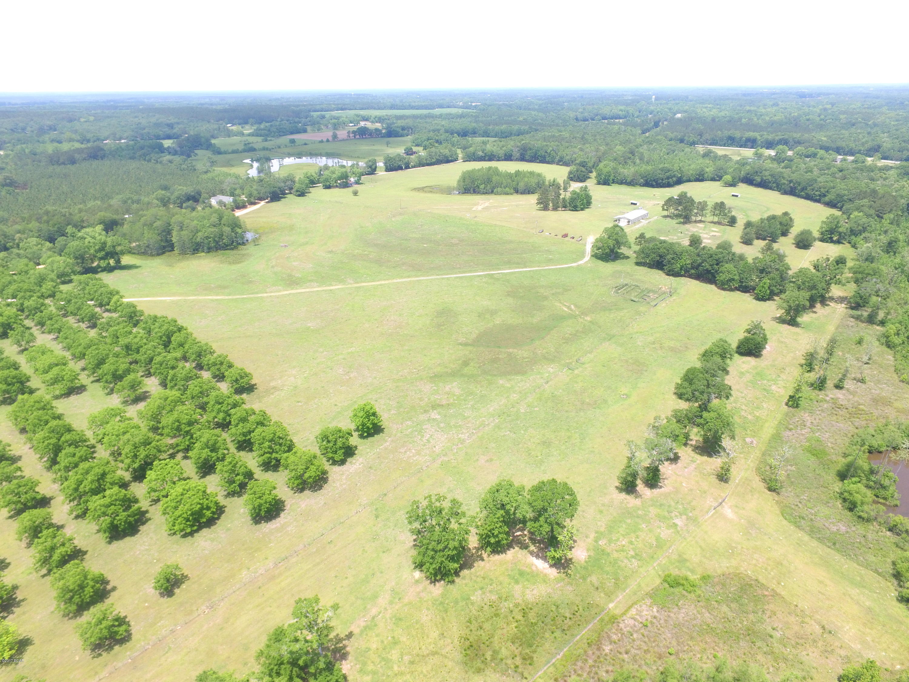 1165 Sam Ard Road Bonifay, FL 32425 - Photo 29 of 29 Gallery Image 29