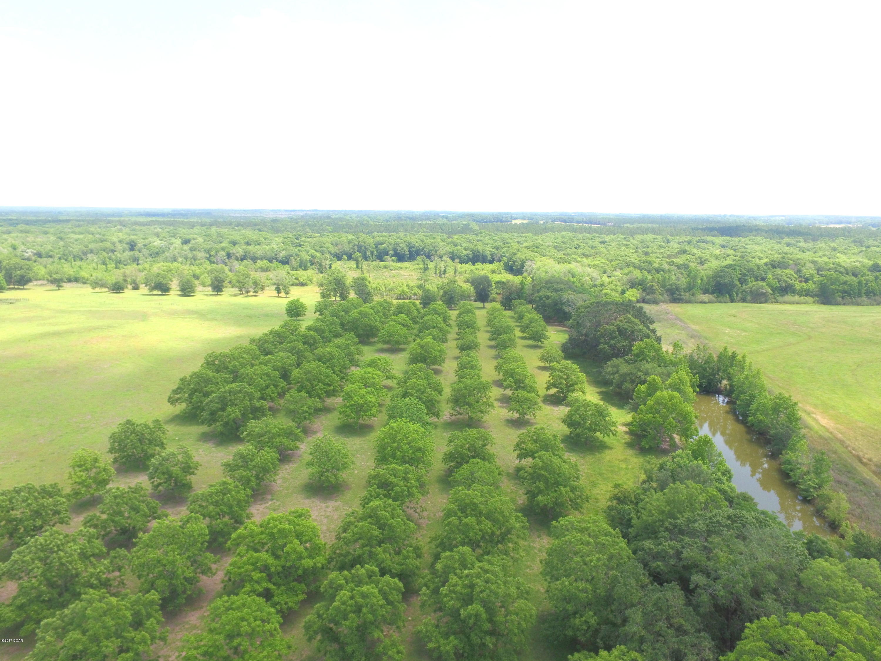1165 Sam Ard Road Bonifay, FL 32425 - Photo 3 of 29 Gallery Image 3