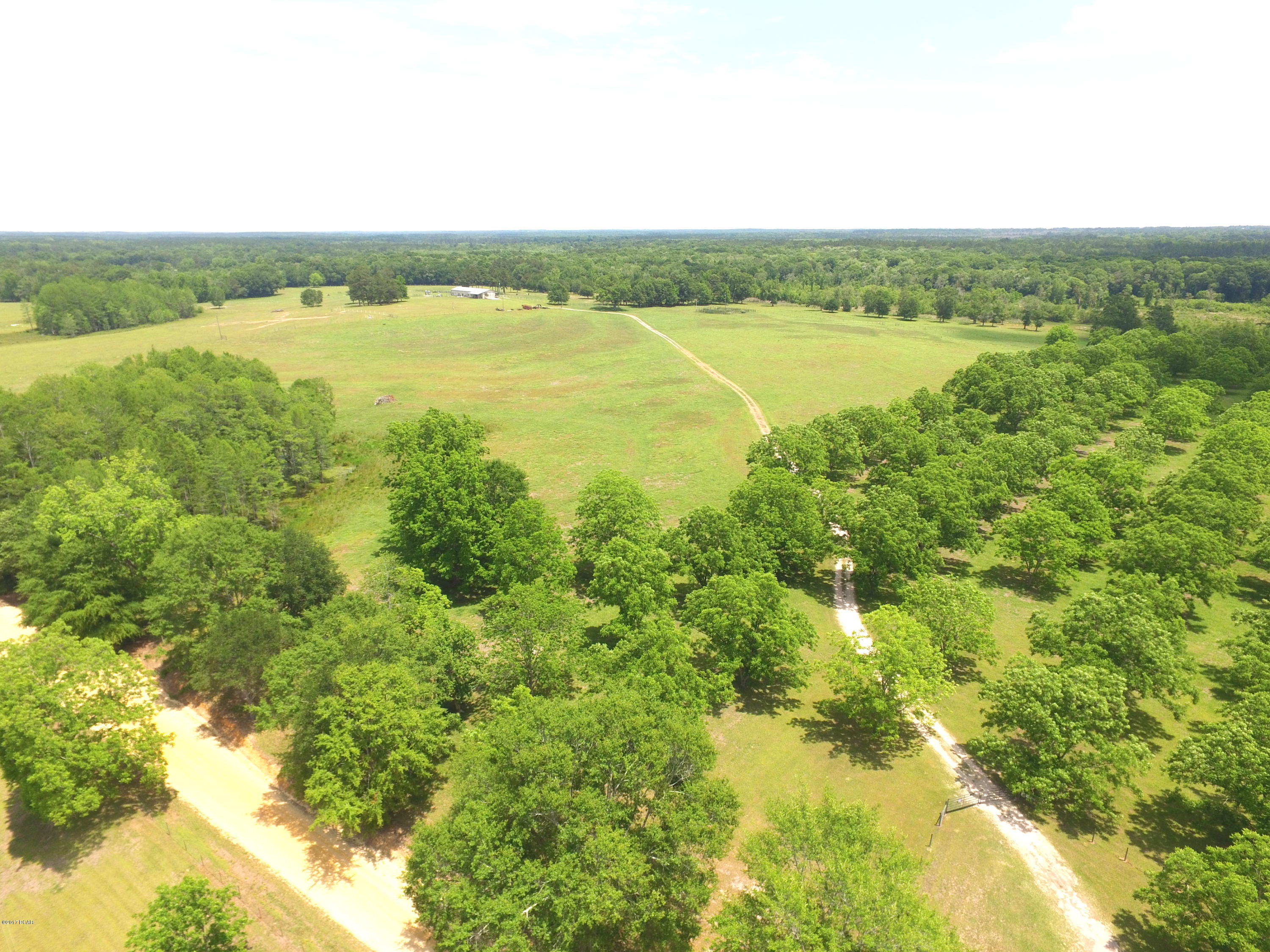 1165 Sam Ard Road Bonifay, FL 32425 - Photo 4 of 29 Gallery Image 4