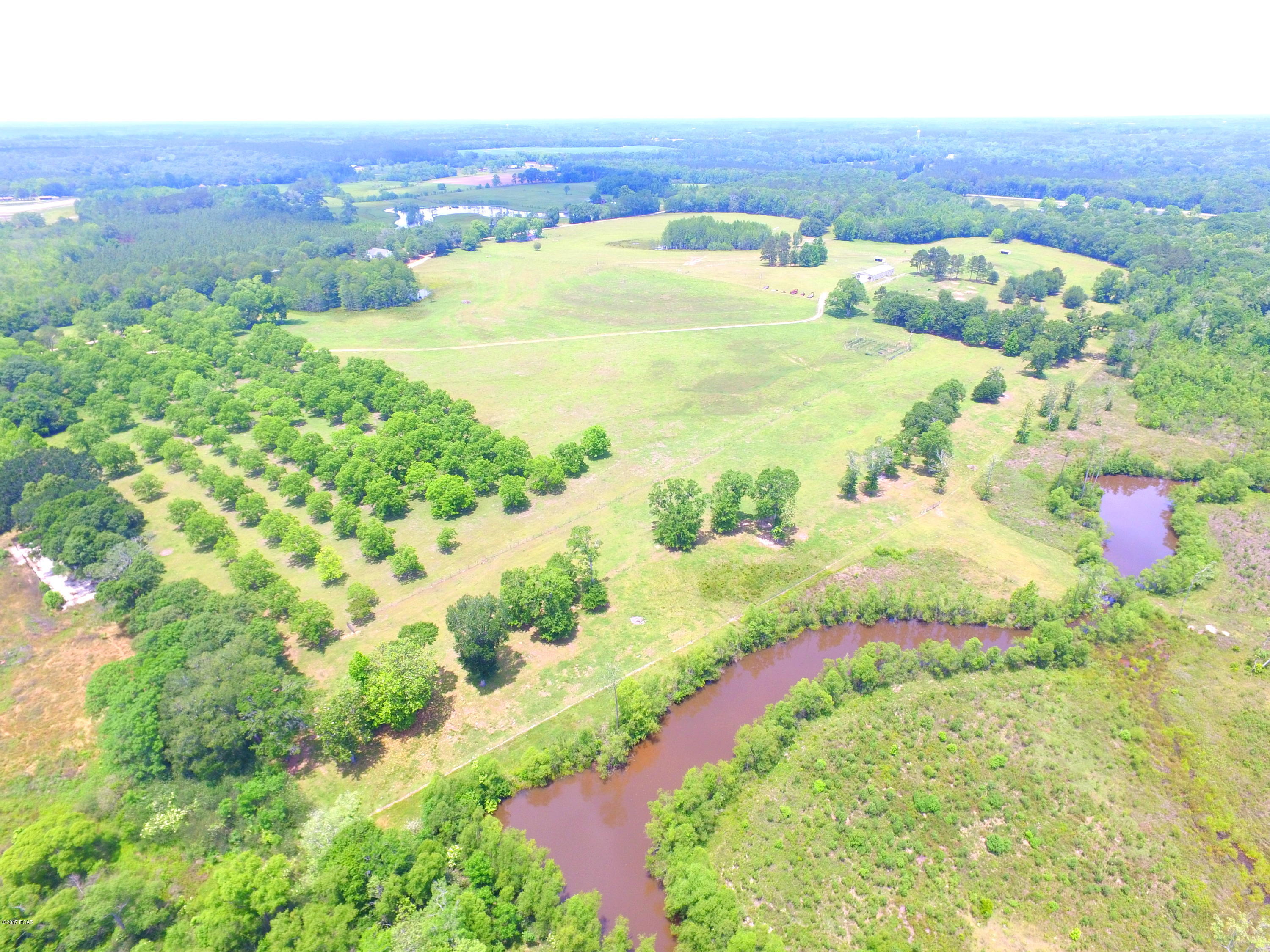 1165 Sam Ard Road Bonifay, FL 32425 - Photo 5 of 29 Gallery Image 5