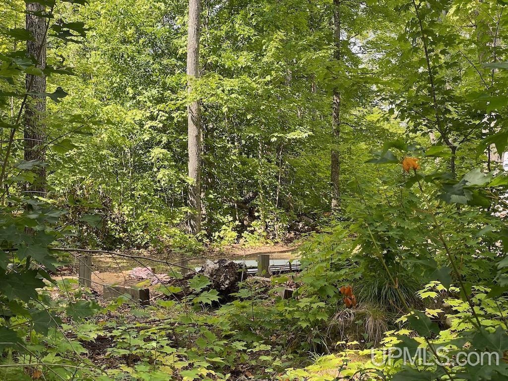 47-13 Carpenter Lake Road Seney, MI 49883 - Photo 14 of 18