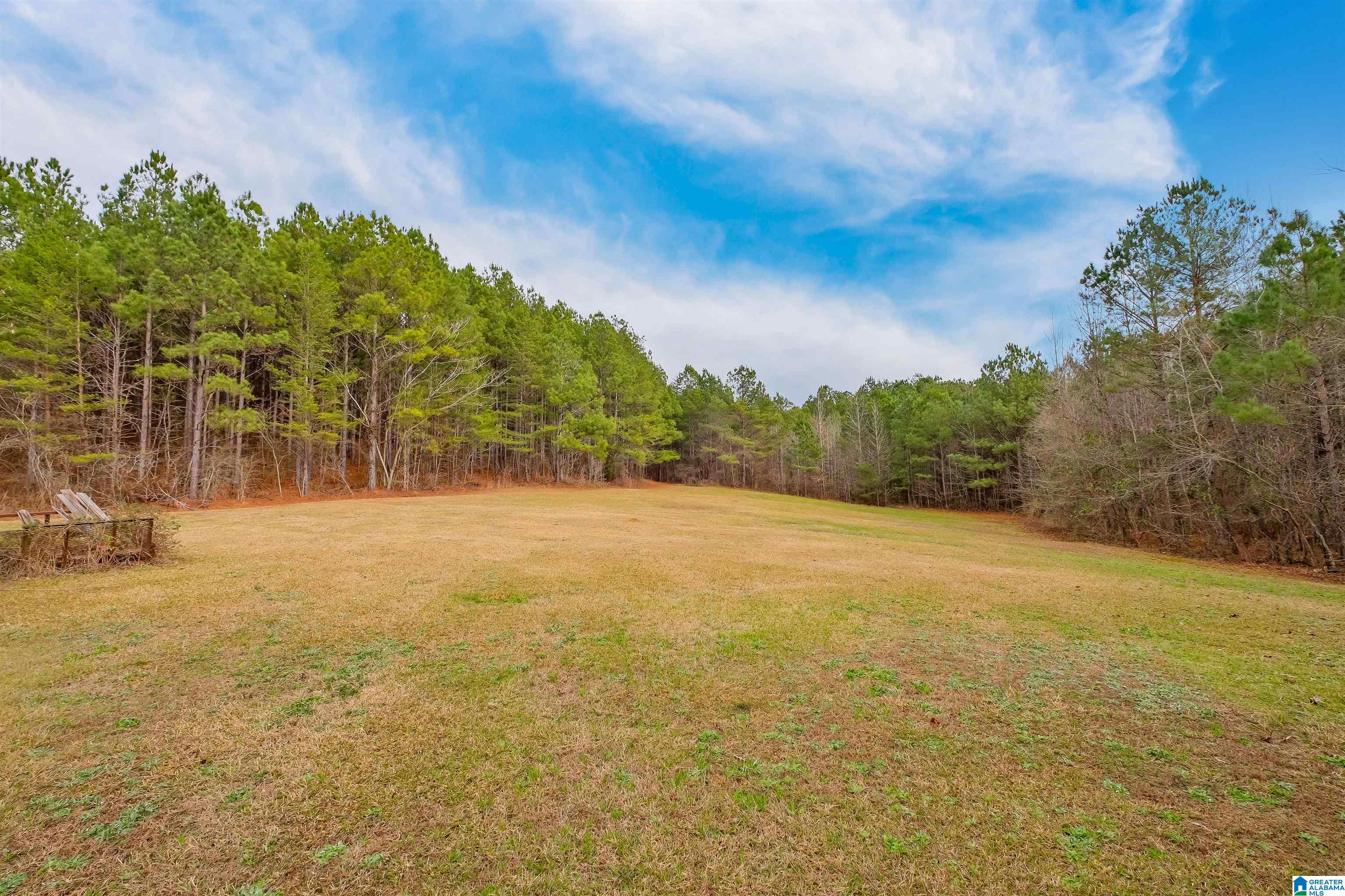 9621 Burney Camp Road Bessemer, AL 35023 - Photo 47 of 50